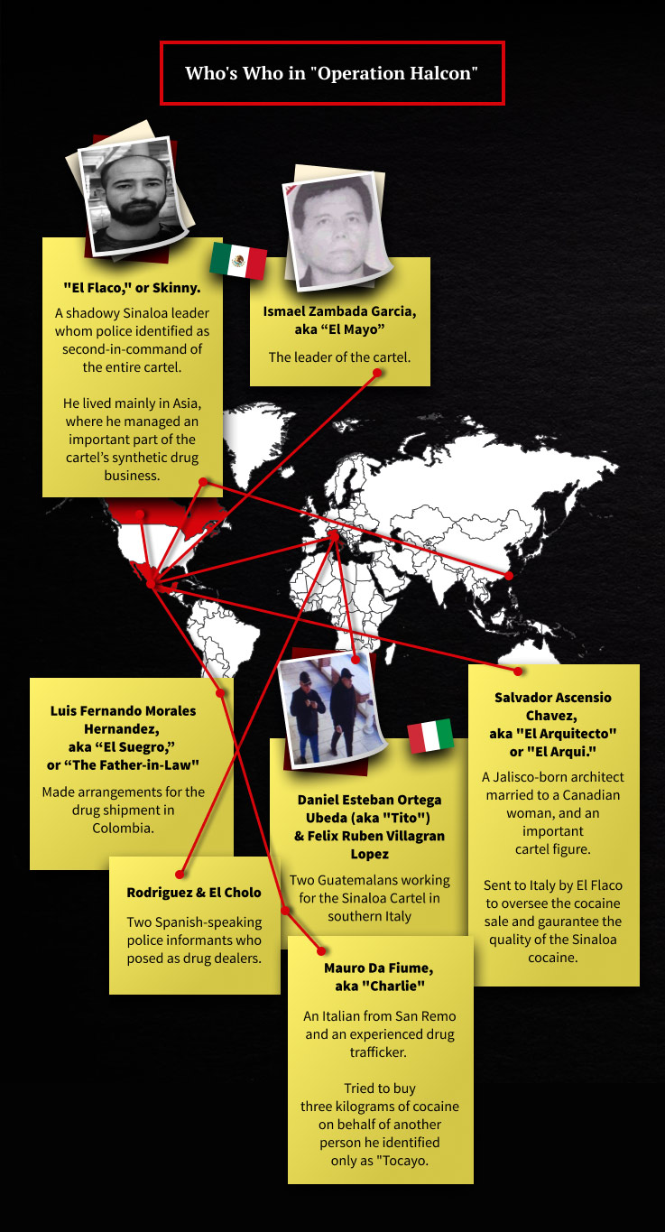 investigations/OCCRP-Cartel-Sinaloa-Infographic.jpg