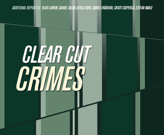 poster Clear Cut Crimes 1 copy