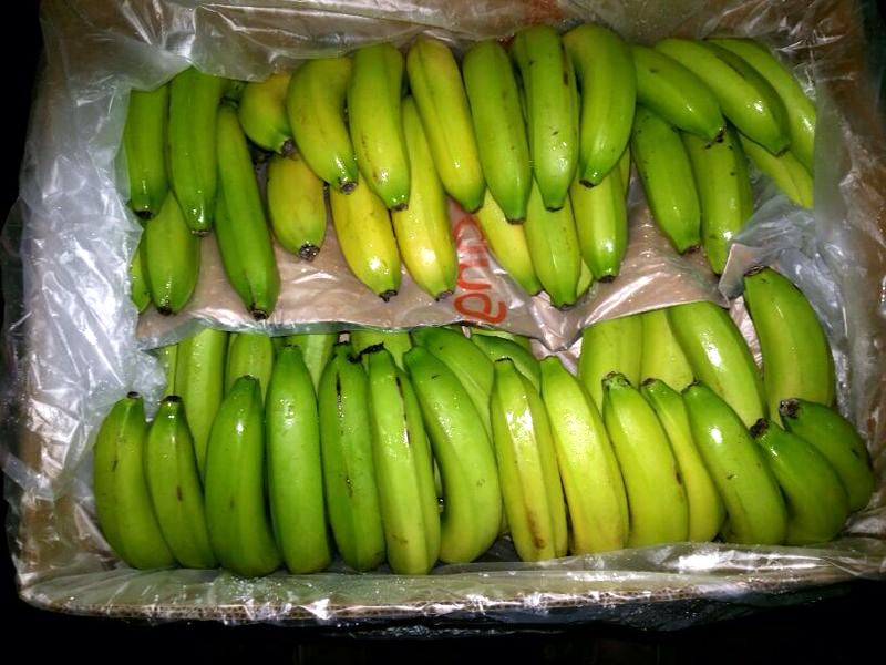 Bananas Box